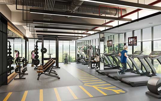 Muscle Up Playground